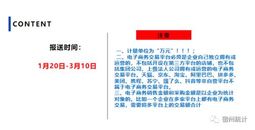 信息化與電子商務應用情況填報指南 聚焦電子商務信息咨詢
